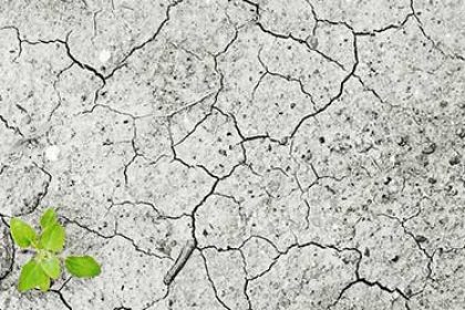 article-sols-planete-altruiste